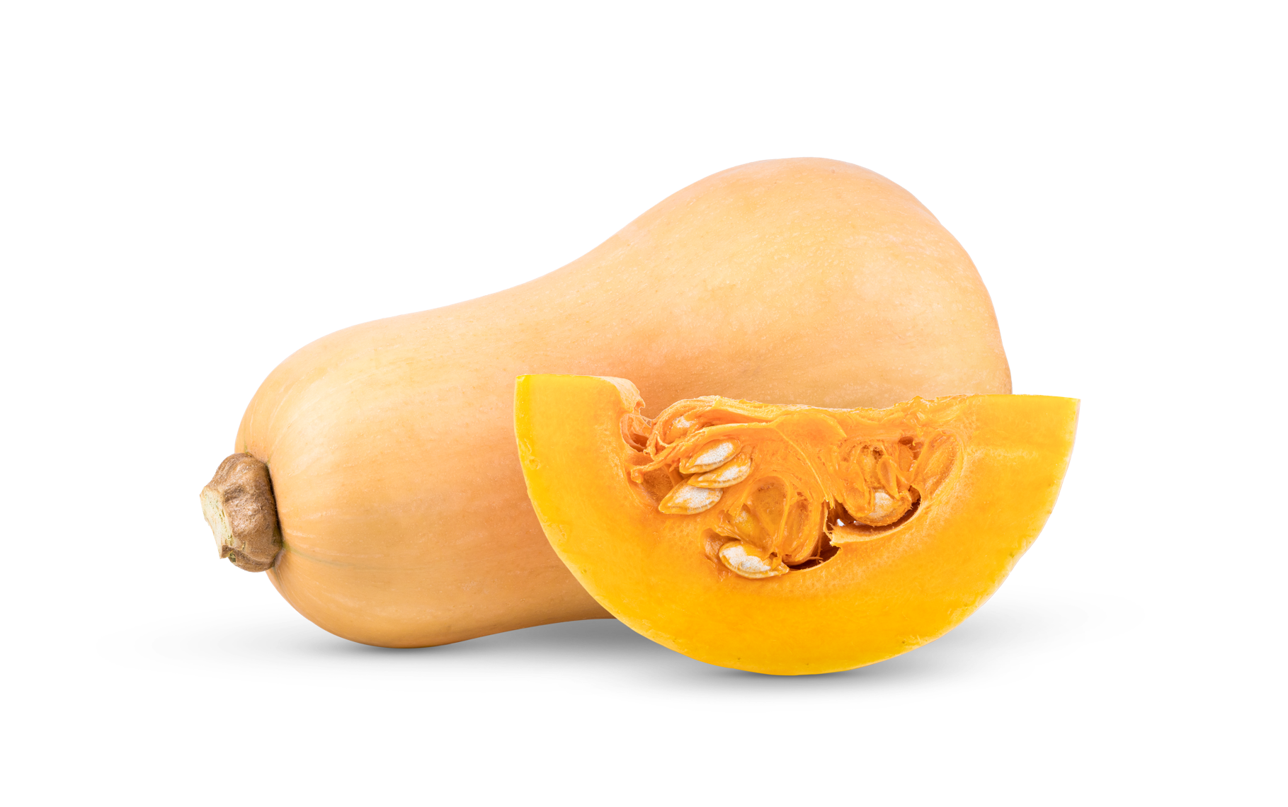 Squash, Butternut (each)