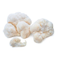 Mushrooms, Lions Mane (quart box)