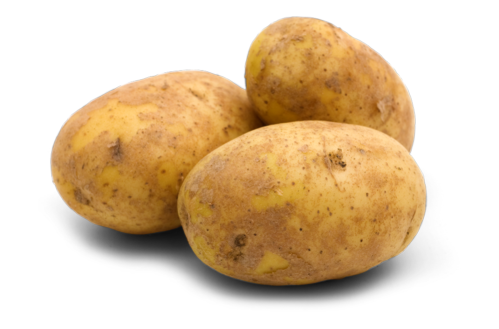 Potato, Yukon (lbs)