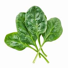 Spinach, Baby (loose, 1 pound box)