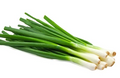 Scallions, bunch