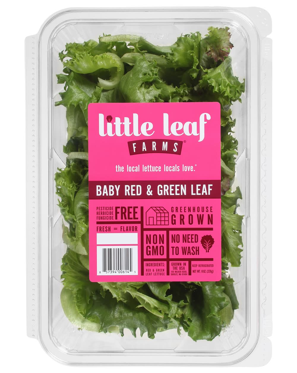 Little Leaf Lettuce, Baby Red and Green Leaf (box)