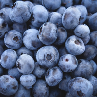 Organic Blueberries (pint)