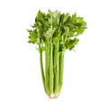 Celery (bunch)