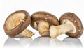 Mushooms, Shiitake (quart box)