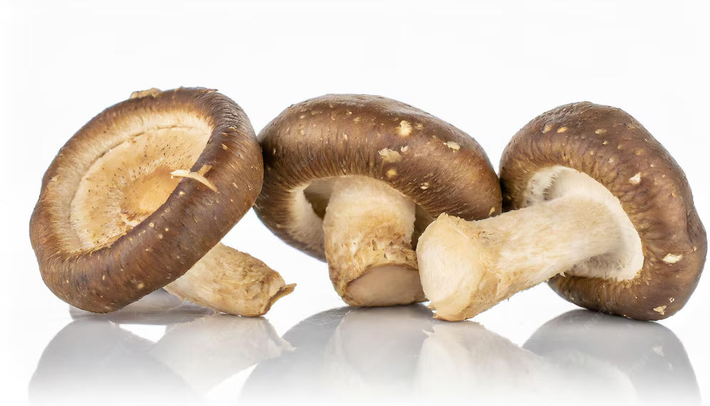 Mushooms, Shiitake (quart box)