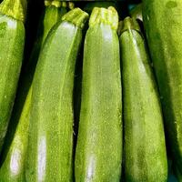 Squash Green Zucchini Organic (lbs)