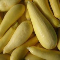 Yellow Summer Squash, Organic (lbs)