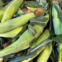 Sweet Corn (piece)