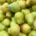 Pear, Barlett
