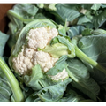 Cauliflower (head)