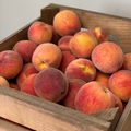Peaches, Yellow (lbs)