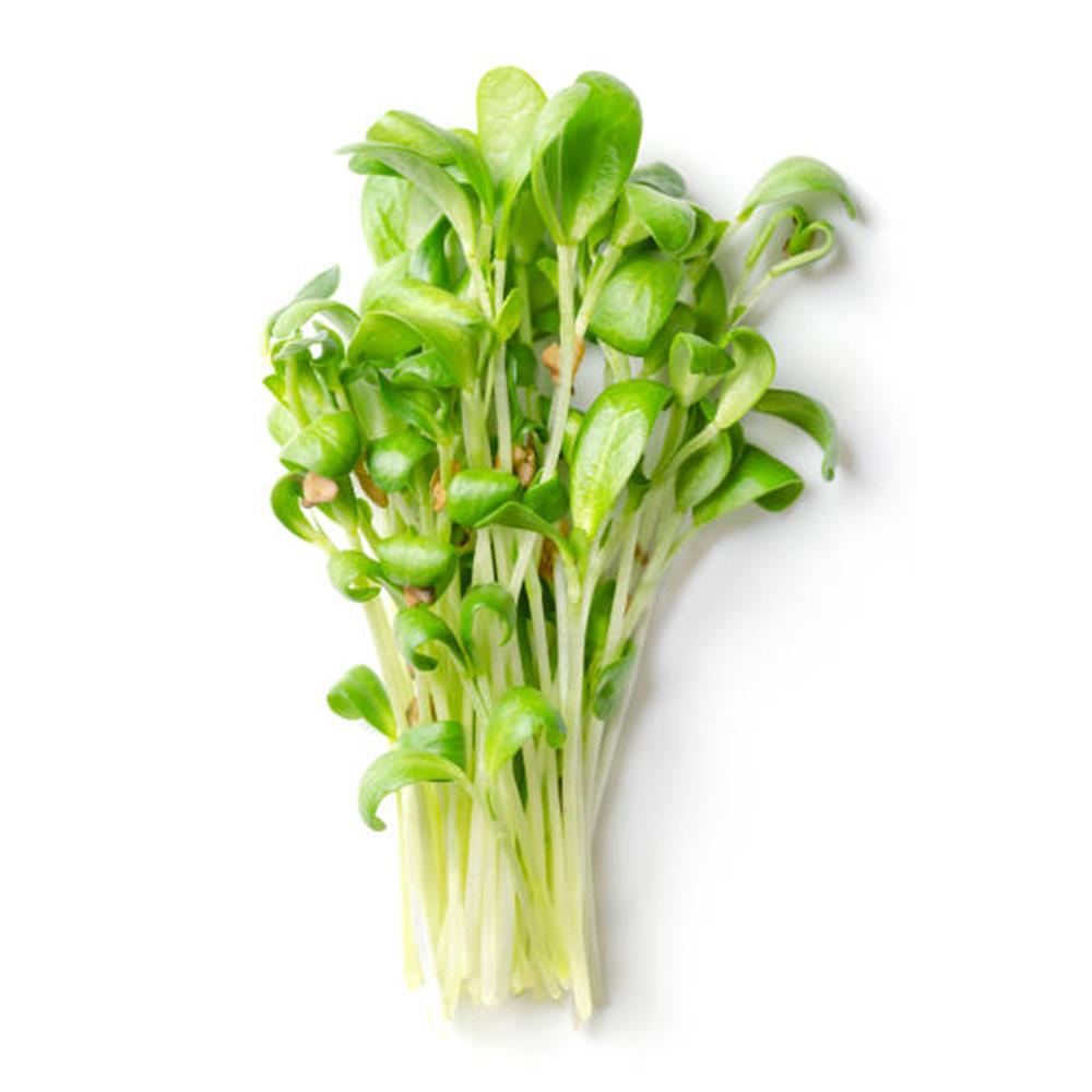 Microgreens, Broccoli (box)