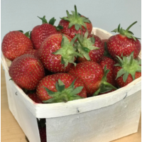 Strawberries (quart)