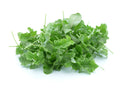 Kale, bunch