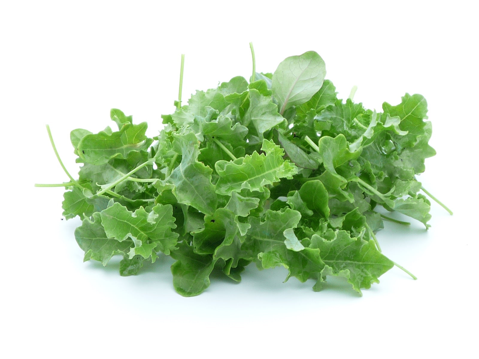 Kale, bunch